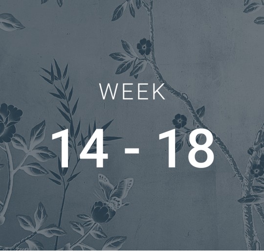 Week 14-18